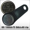 DS 1990A-F5  DALLAS �ip