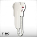 T 100