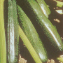 Cuketa, Ambasador F1, 1g
