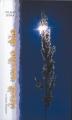 �svit nov�ho d�a